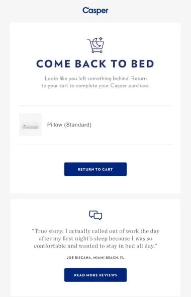 Abandoned Cart Email Example