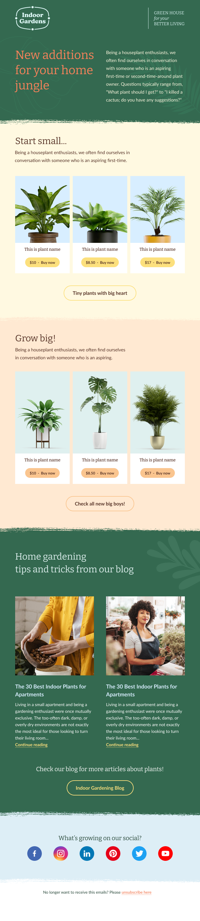 Indoor gardens houseplant email template